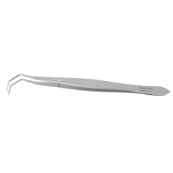 Tunneling Gum Lift Tweezers