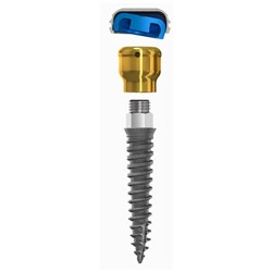 LODI 2.4x10mm, 4mm Cuff