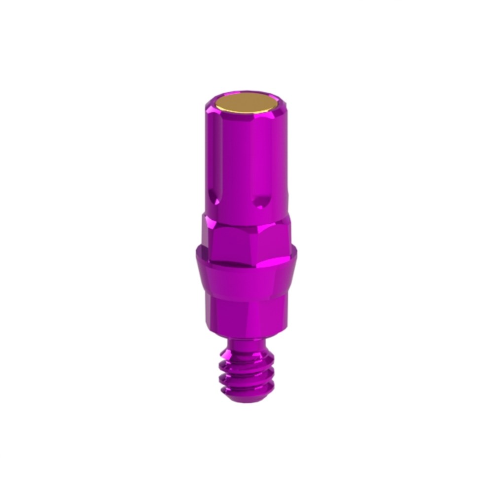 Adaptor Active NP