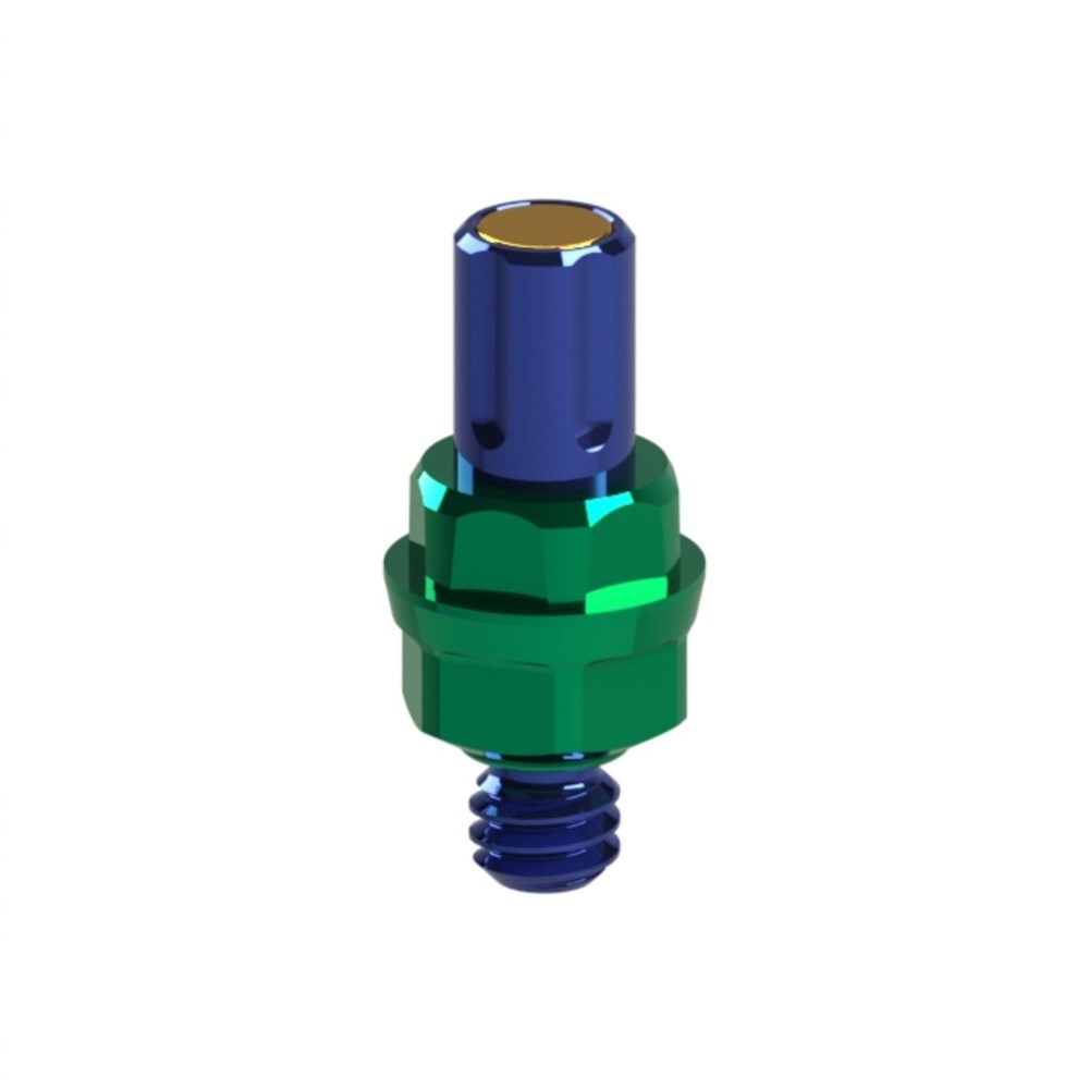 Adaptor Active WP