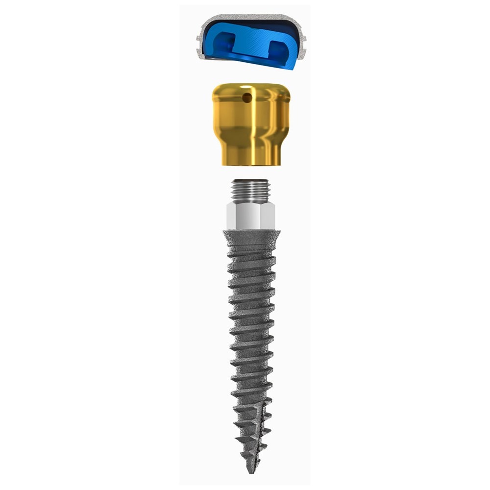 LODI 2.4x10mm, 2.5mm Cuff